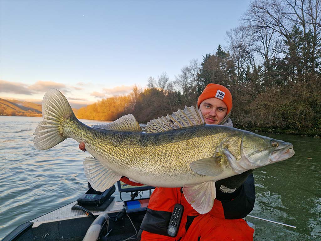 Pêcheur avec un très grand brochet au coucher du soleil.